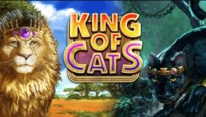 Promotional banner for the MRATM88 "King of Cats" slot game, featuring a jungle theme with majestic lion and big cat symbols.